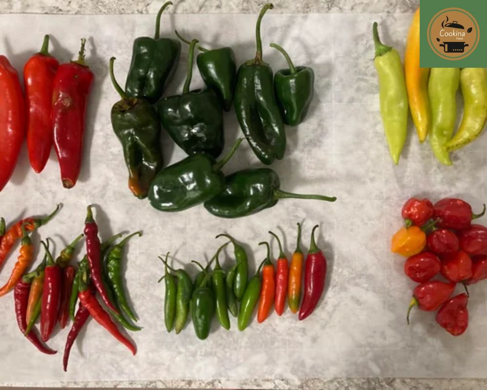 Step By Step Sweet Peppers Pickled Recipe
