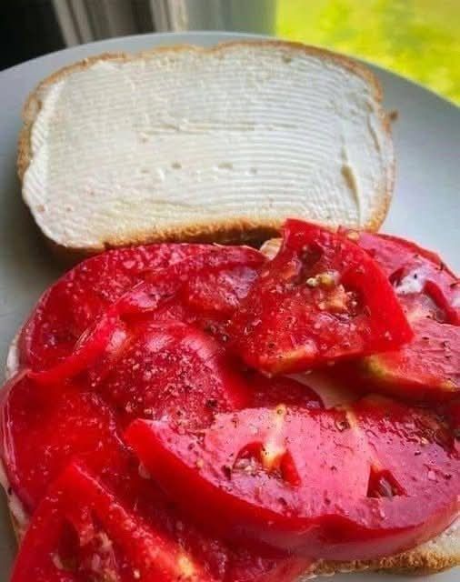 A Tomato Sandwich