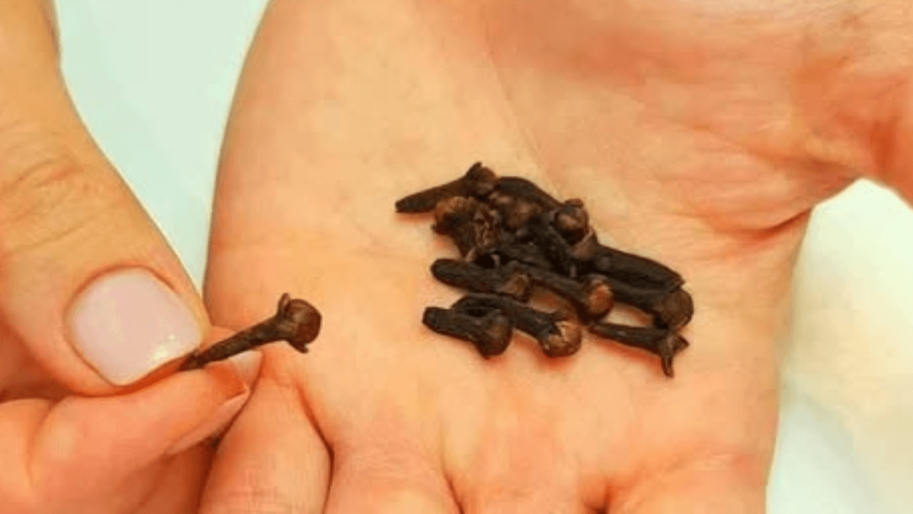 Clear Your Lungs Stop Coughing in Three Days! Recipe for Bronchitis